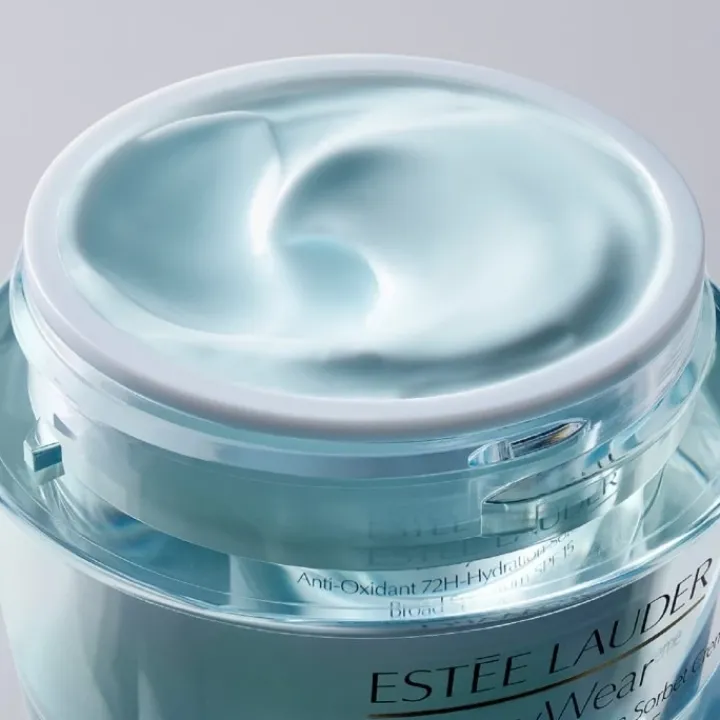 ESTEE LAUDER DayWear Crème Hydratation 24h Multi-Protection Anti-Oxydant SPF 15 Pour Peaux Normales/Mixtes