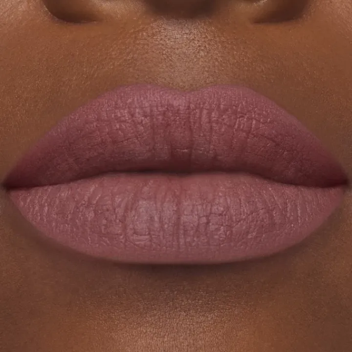 ESTEE LAUDER Pure Color                Rouge à Lèvres Mat