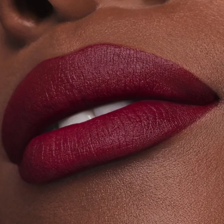 ESTEE LAUDER Pure Color                Rouge à Lèvres Mat