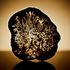 ESTEE LAUDER Re-Nutriv Ultimate Diamond                Sérum Yeux Révélateur d'Énergie