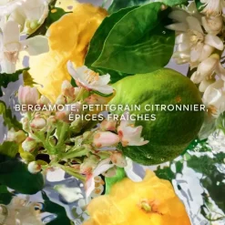 Femme GUERLAIN Aqua Allegoria Bergamote Calabria                Eau de Toilette