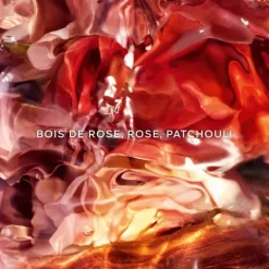 Femme GUERLAIN Aqua Allegoria Forte Rosa Palissandro                 Eau de Parfum - Flacon Recharge