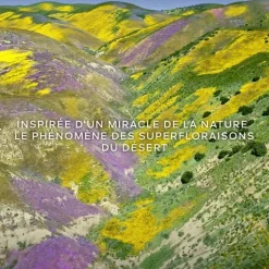 Femme GUERLAIN Aqua Allegoria Forte Florabloom Eau de Parfum - Flacon Recharge