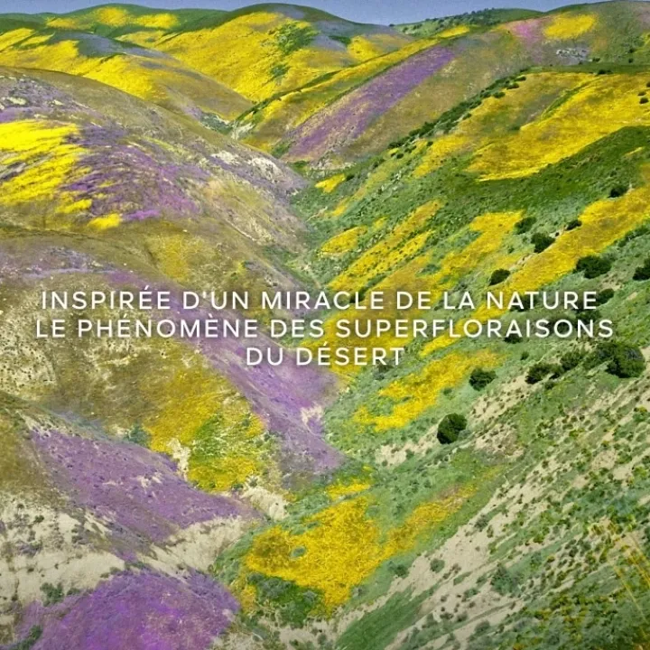 Femme GUERLAIN Aqua Allegoria Forte Florabloom Eau de Parfum - Flacon Recharge