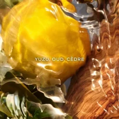 Femme GUERLAIN Aqua Allegoria Forte Oud Yuzu                Eau de Parfum