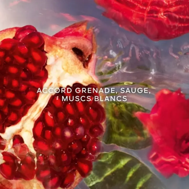 Femme GUERLAIN Aqua Allegoria Granada Salvia Eau de Toilette