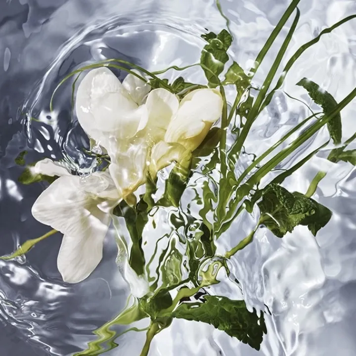 Femme GUERLAIN Aqua Allegoria Herba Fresca Eau de Toilette