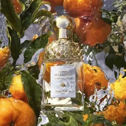 Femme GUERLAIN Aqua Allegoria Mandarine Basilic                Eau de Toilette