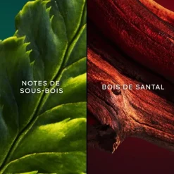 Femme GUERLAIN Chant d'Arômes                Eau de Toilette