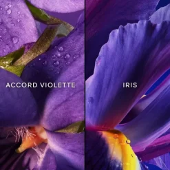 Femme GUERLAIN Insolence Eau de Parfum