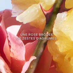 Femme GUERLAIN La Petite Robe Noire                Le Flacon Coeur - Eau de Toilette