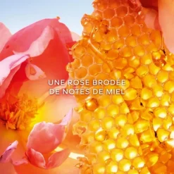 Femme GUERLAIN La Petite Robe Noire Honey Rose                Eau de Parfum