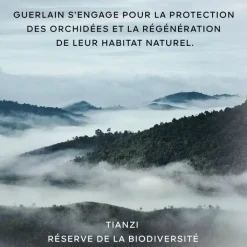 GUERLAIN Orchidée Impériale                La Gelée d'Huile