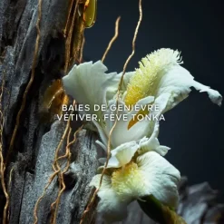 Homme GUERLAIN Vétiver Le Parfum Eau de Parfum