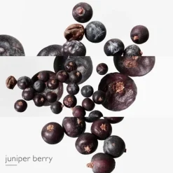 Femme HERMÈS Eau des Merveilles Bleue                Recharge Eau de Toilette