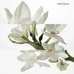 Homme HERMÈS H24 Déodorant Spray Fraîcheur