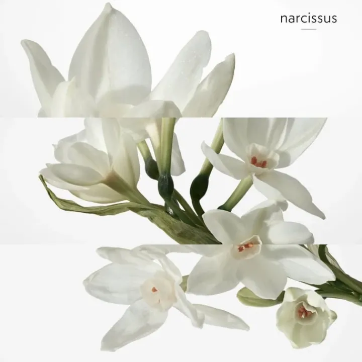 Homme HERMÈS H24 Déodorant Spray Fraîcheur