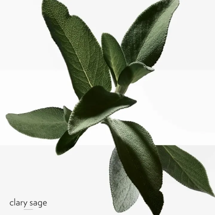 Homme HERMÈS H24 Déodorant Stick Fraicheur