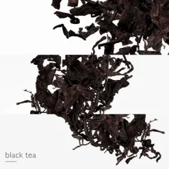 HERMÈS L'Ombre des Merveilles Recharge Eau de Parfum