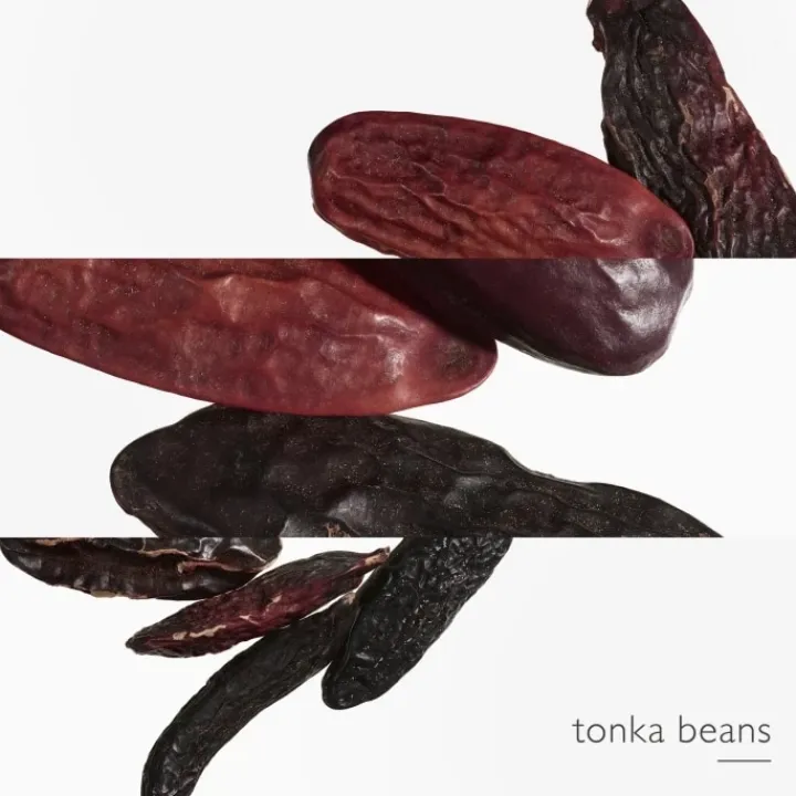 HERMÈS L'Ombre des Merveilles Recharge Eau de Parfum