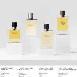 Homme HERMÈS Terre d'Hermès Eau Givrée                Recharge Parfum