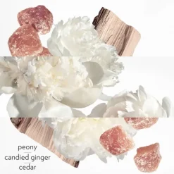 Femme HERMÈS Twilly d'Hermès Eau Ginger                Eau de Parfum