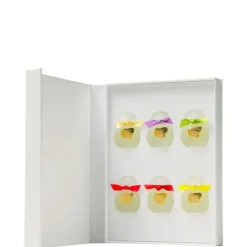 Femme Houbigant Collection Privée Coffret Miniatures