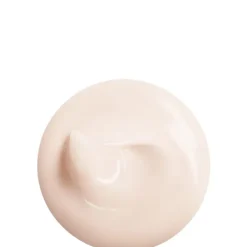 INCENZA Vital Perfection                Crème Jour Lift Fermeté SPF 30