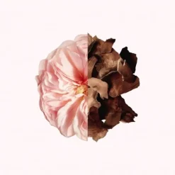 Femme GIVENCHY Irresistible                Parfum Cheveux