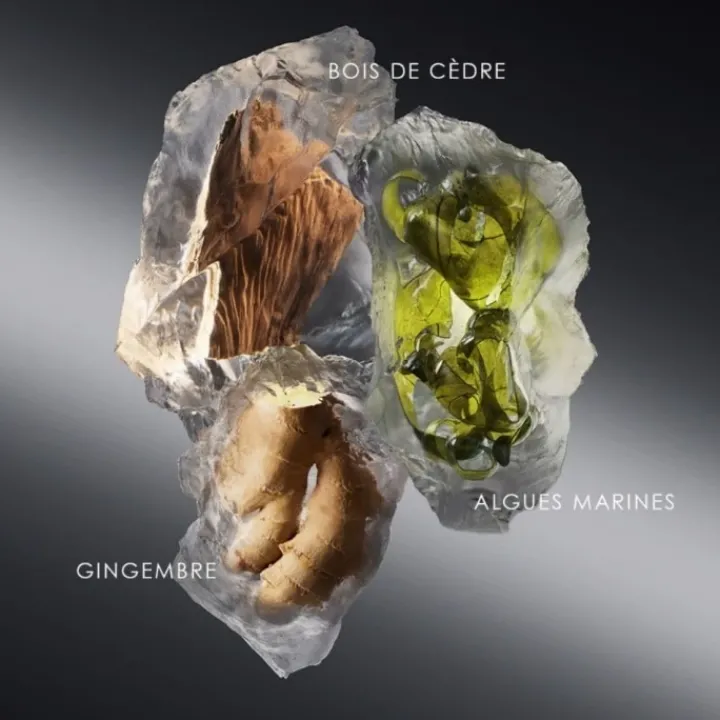 Homme Issey Miyake Le Sel d'Issey Eau de Toilette