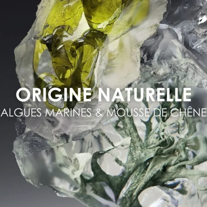 Homme Issey Miyake Le Sel d'Issey Eau de Toilette