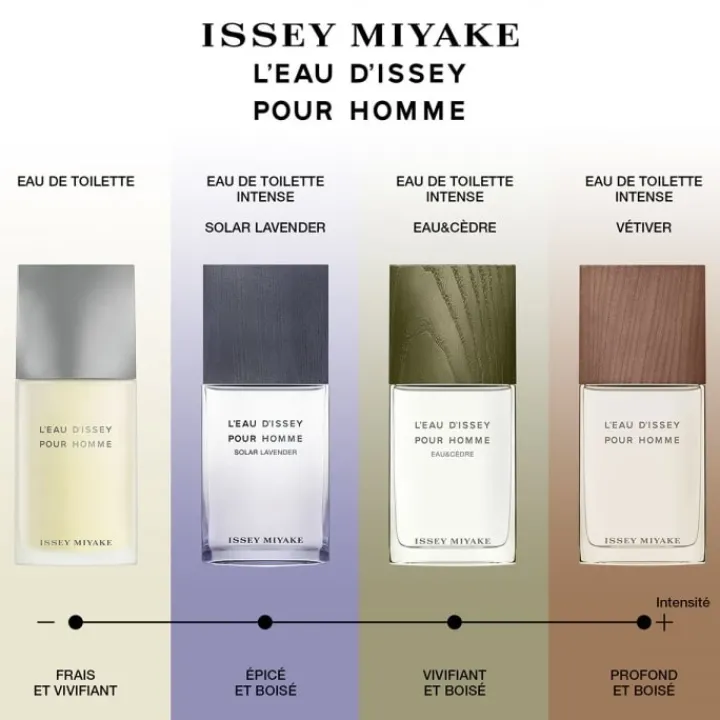 Homme Issey Miyake L'Eau d'Issey pour Homme Eau de Toilette