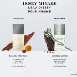 Homme Issey Miyake L'Eau d'Issey pour Homme                Eau de Parfum