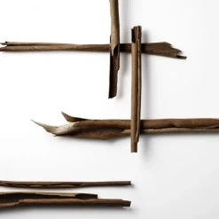 Homme Issey Miyake Wood&Wood                Eau de Parfum Intense