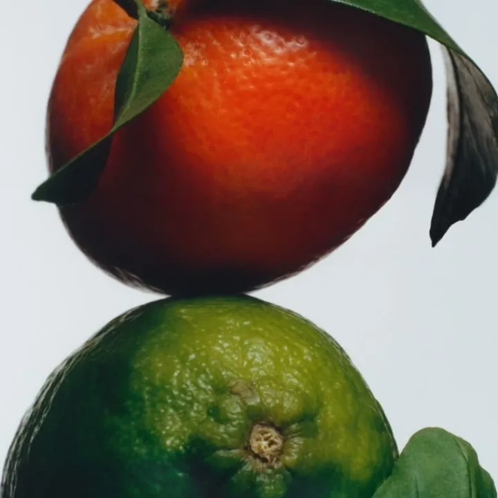 Jo Malone Lime Basil & Mandarin Bougie Parfumée