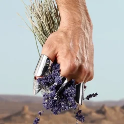 Homme Dolce&Gabbana K by                Eau de Toilette