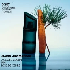 Homme KENZO Homme                Eau de Toilette