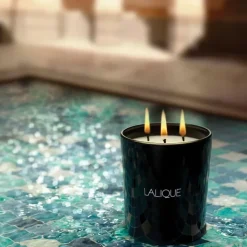 Lalique Néroli Casablanca Maroc                Bougie Parfumée