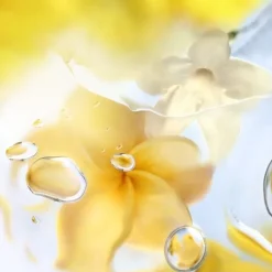 Femme LANCÔME Ô ZENITH Eau de Toilette