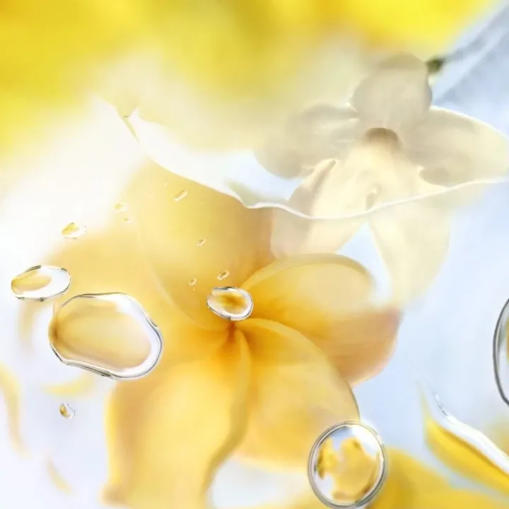 Femme LANCÔME Ô ZENITH Eau de Toilette