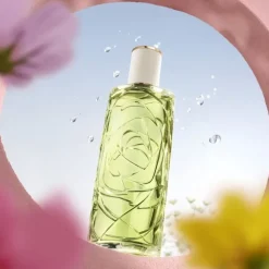 Femme LANCÔME ÔFF NOW                Eau de Toilette
