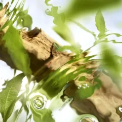 Femme LANCÔME ÔFF NOW                Eau de Toilette