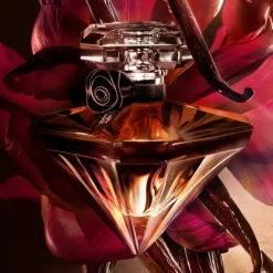 Femme LANCÔME La Nuit Trésor Vanille Noire                Eau de Parfum