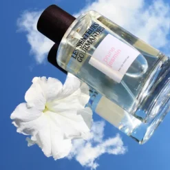 Les Senteurs Gourmandes Prune Jasmin                Eau de Parfum