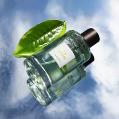 Les Senteurs Gourmandes Thé Absolu                Eau de Parfum