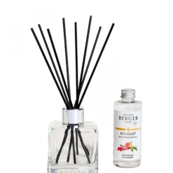 Maison Berger Paris Baies de Goji                Coffret Bouquet Parfumé