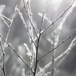 Maison Margiela REPLICA By The Fireplace                 Bougie Parfumée Boisée Épicée