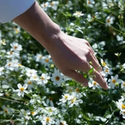 Maison Margiela REPLICA Springtime in a Park Bougie Parfumée Florale Fraîche