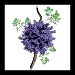 Homme Mauboussin pour Homme                Eau de Parfum