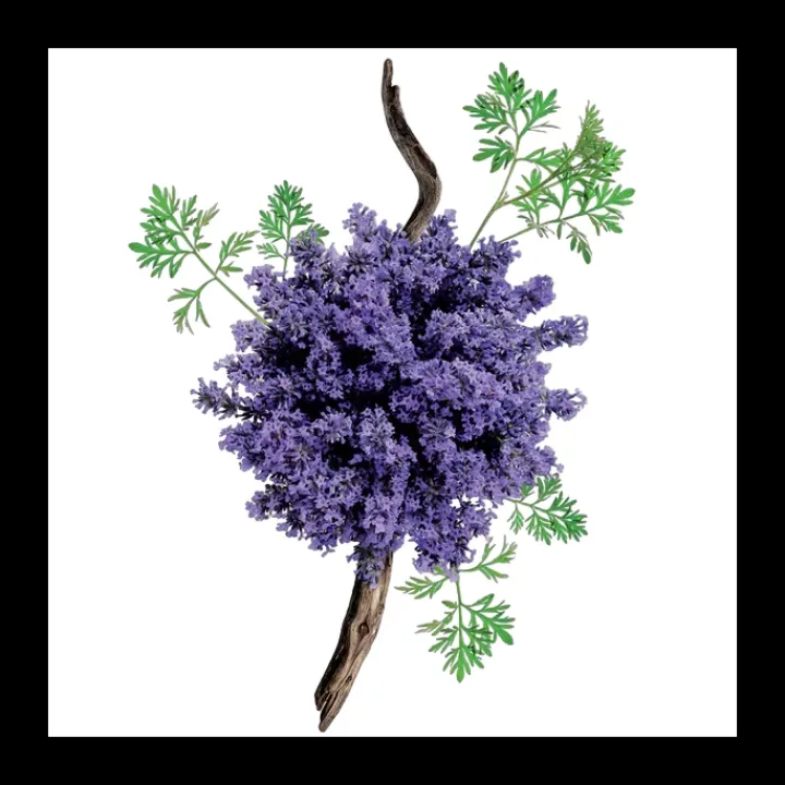 Homme Mauboussin pour Lui Eau de Parfum